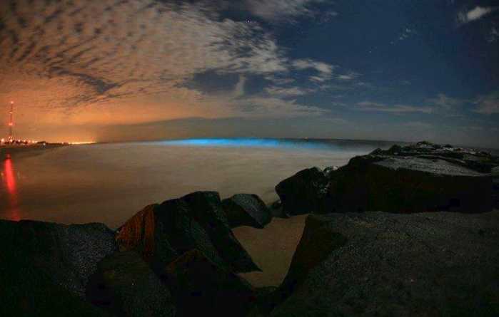 Alga-bioluminecents-landshaft